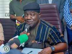 Ignore the Political Noise and Focus On Victory: NSC DG Olopade Charges Super Falcons